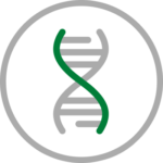 Icon depicting a DNA strand